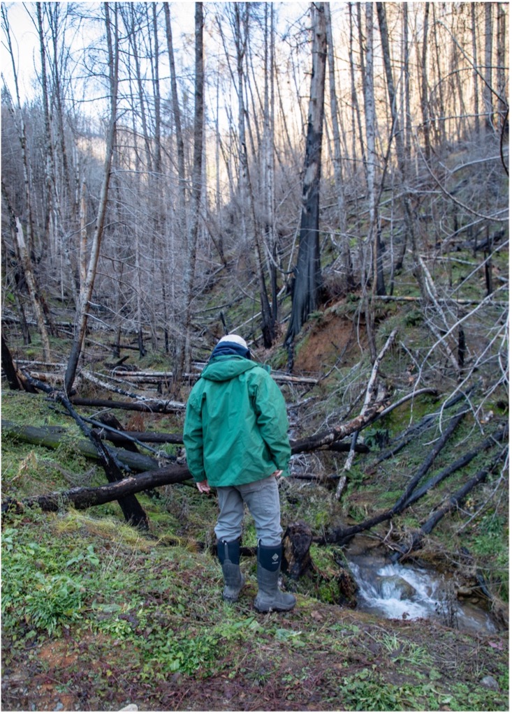 EWEB's Karl Morgenstern examines damage from the Holiday Farm Fire at Fern Creek.