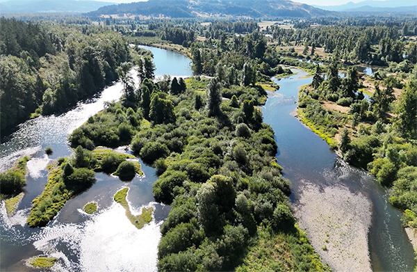 Willamette River at the Confluence of the Coast and Middle Forks