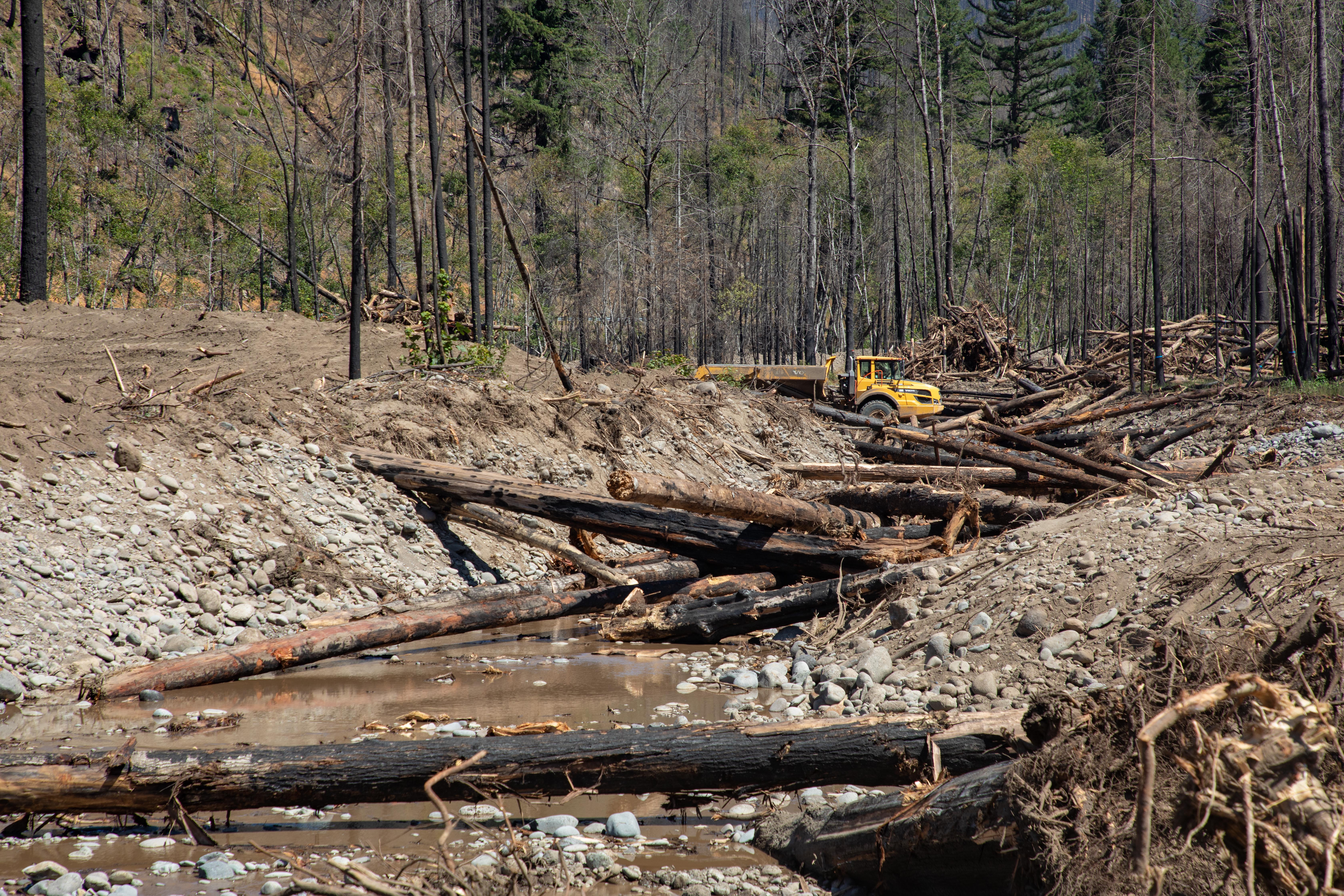 Wood structures provide habitat for juvenile fish and help slow down the flow of the water.