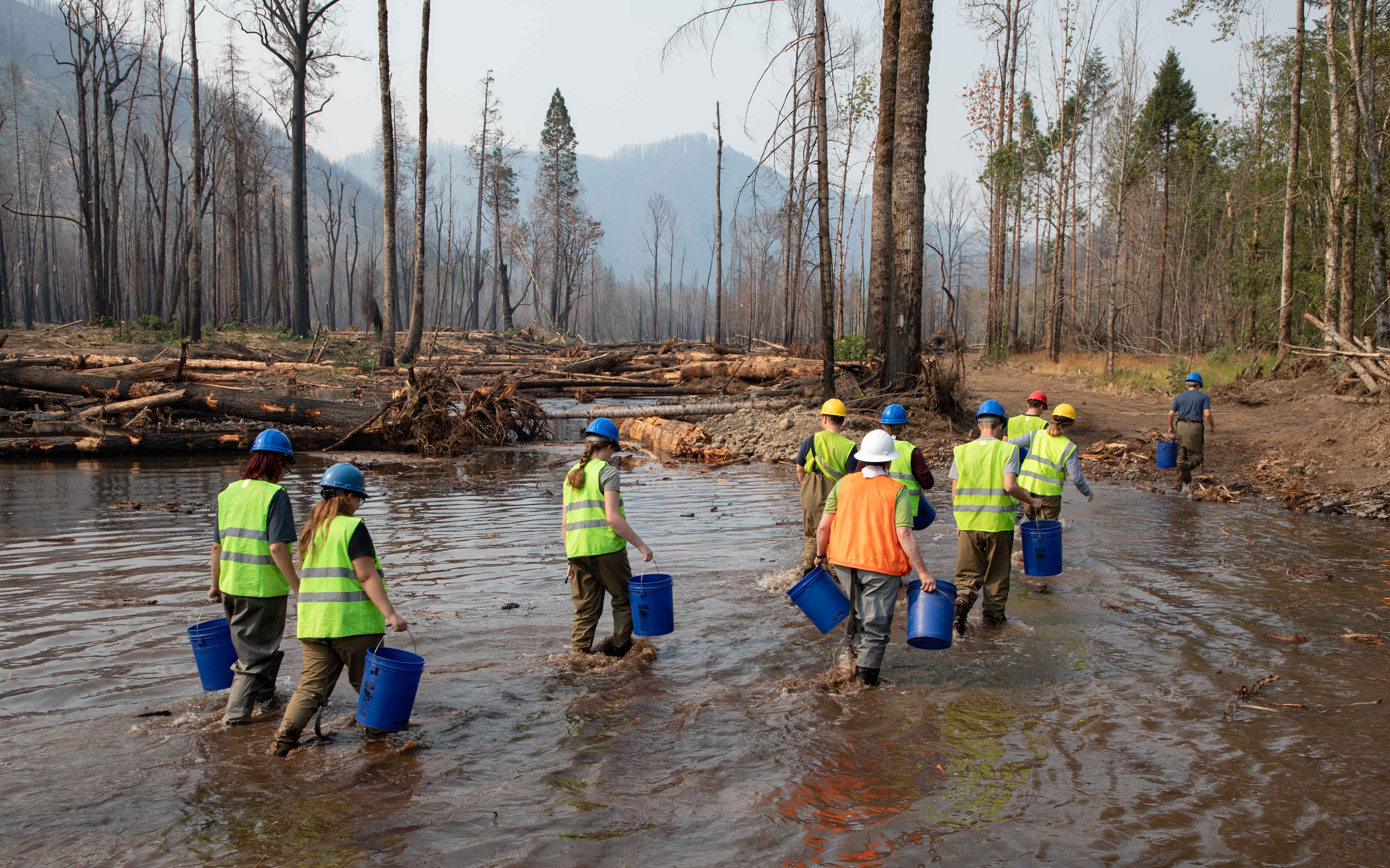 Conservation Youth Crew came to help with fish salvage