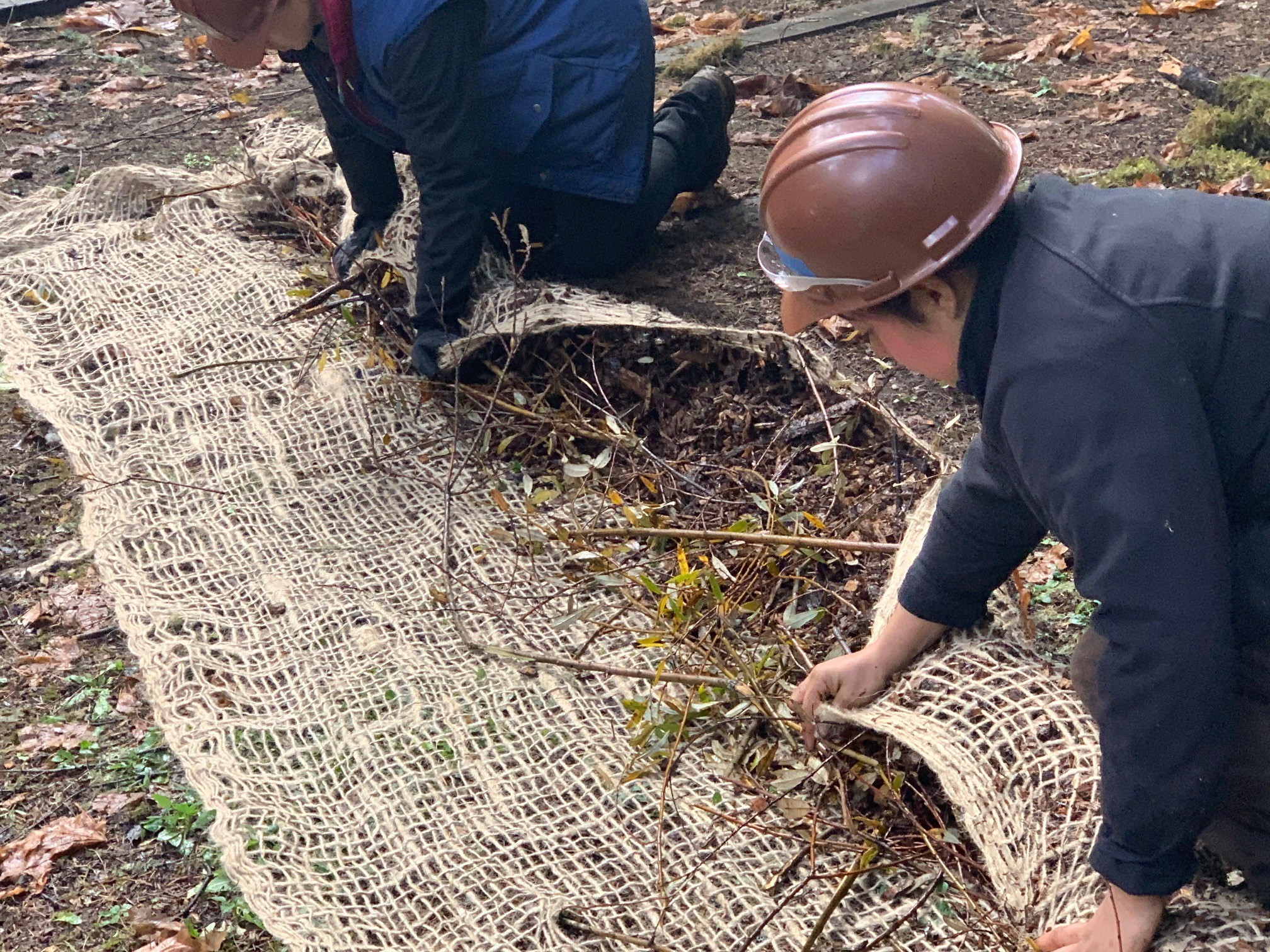 Close up of a wattle being constructed