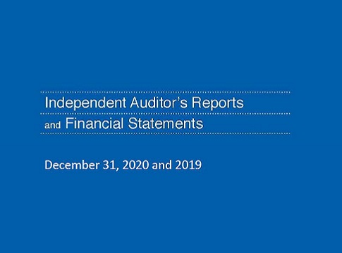 Cover of the financial report with a blue background.