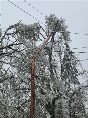 pole snapped storm 2024