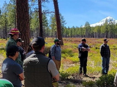 People in forest learning about wildfire