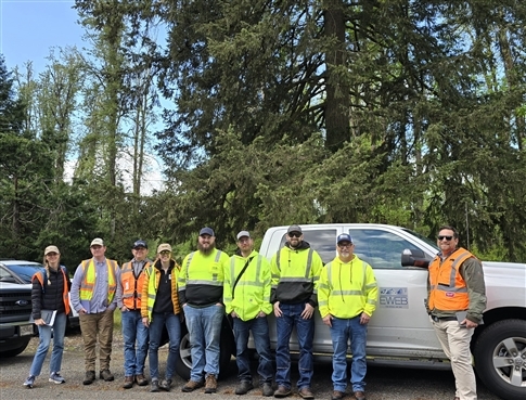 Veg crew and Overstory staff visit trees in the field