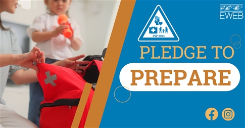 Pledge to prepare banner