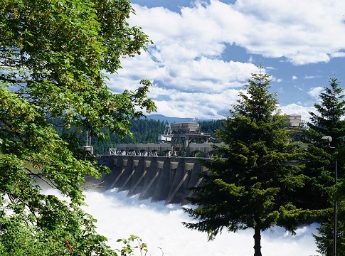 Bonneville Dam viewed through trees