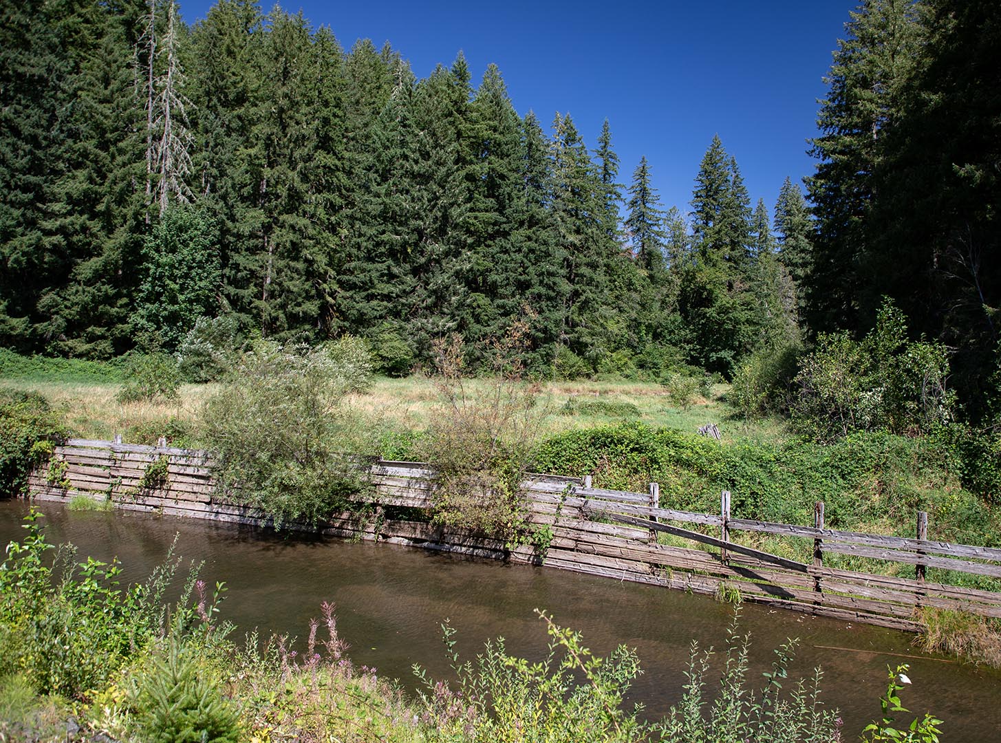Johnson Creek intersects the Leaburg Canal.
