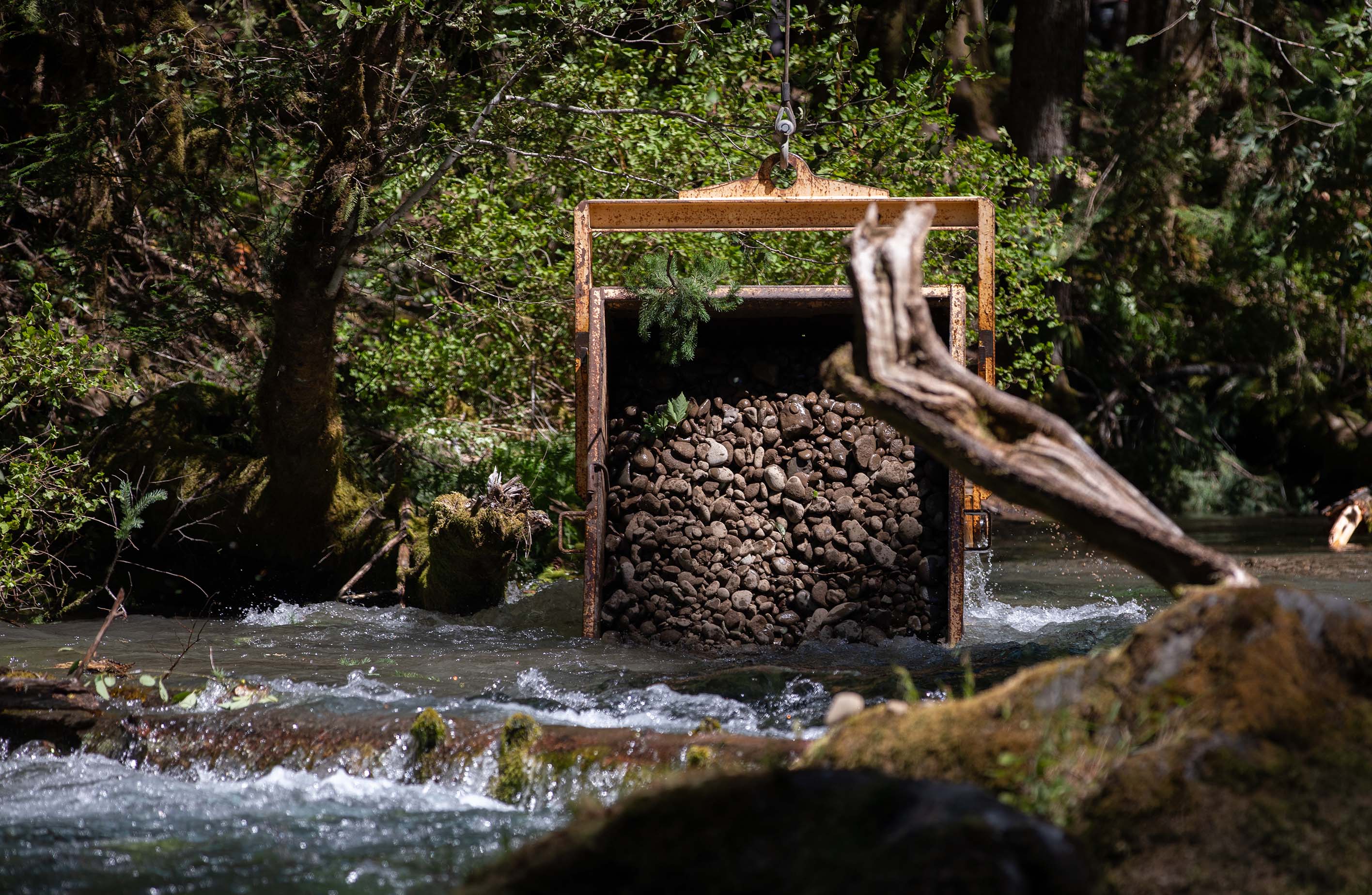Helicopter places 6,000lbs. of gravel to create spawning habitat in the McKenzie River