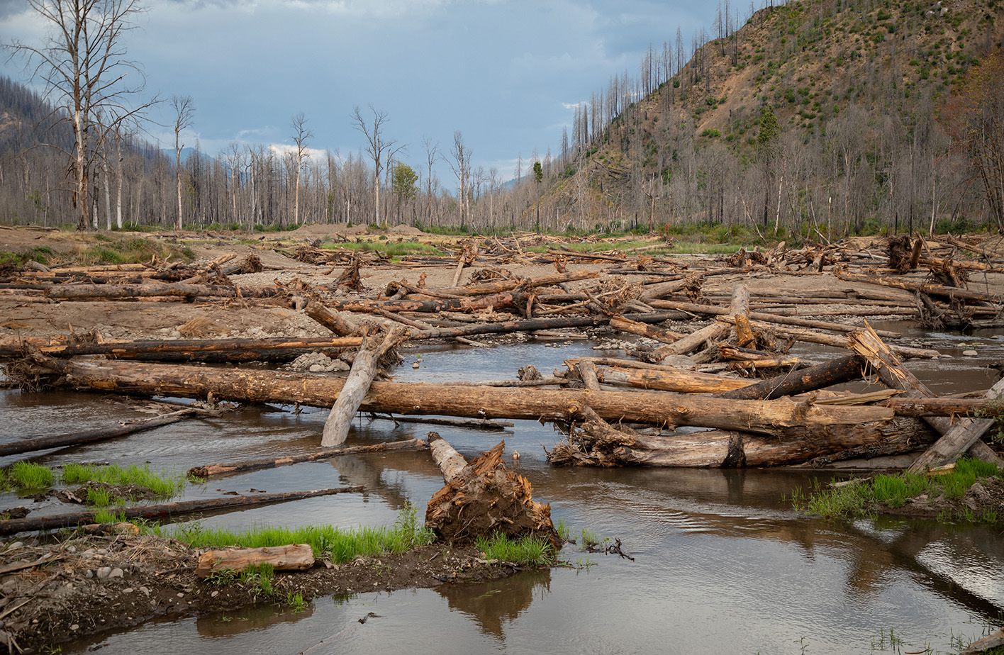 Finn Rock Reach floodplain