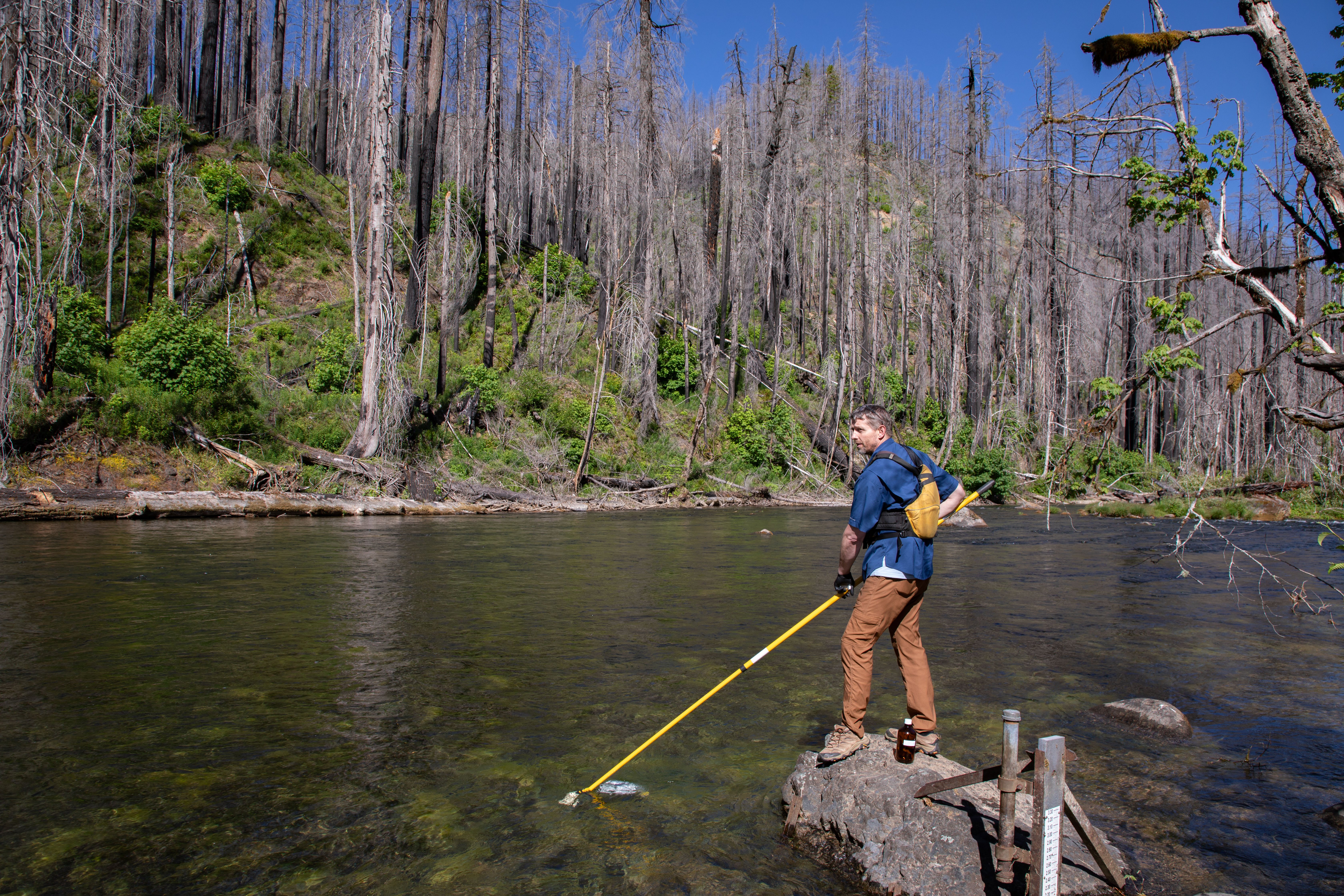 Donahue takes a water quality sample of the South Fork of the McKenzie River among trees burned by the 2018 Terwilliger Fire