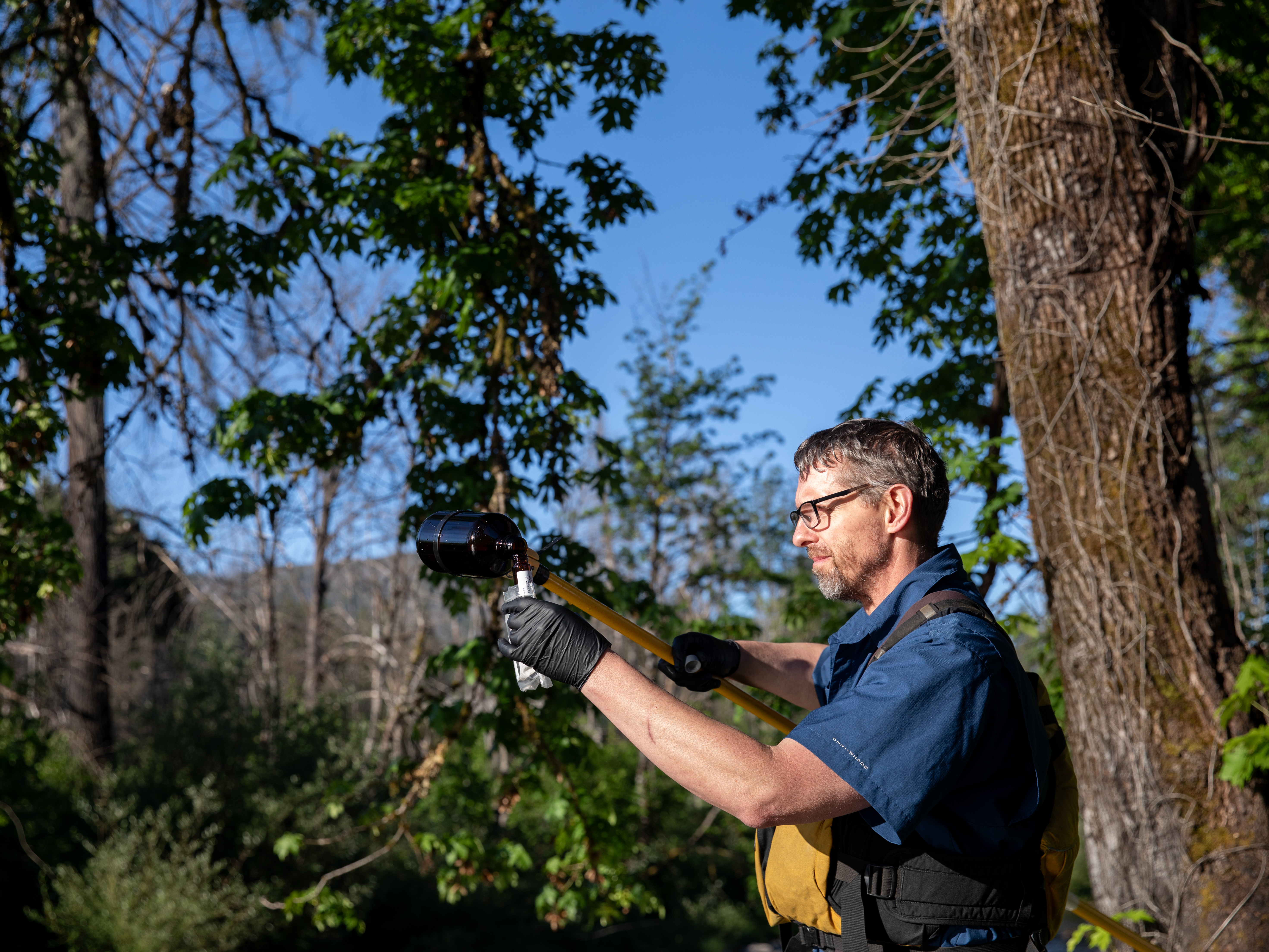 A Bald Eagle perches near Environmental Specialist David Donahue processing water quality samples