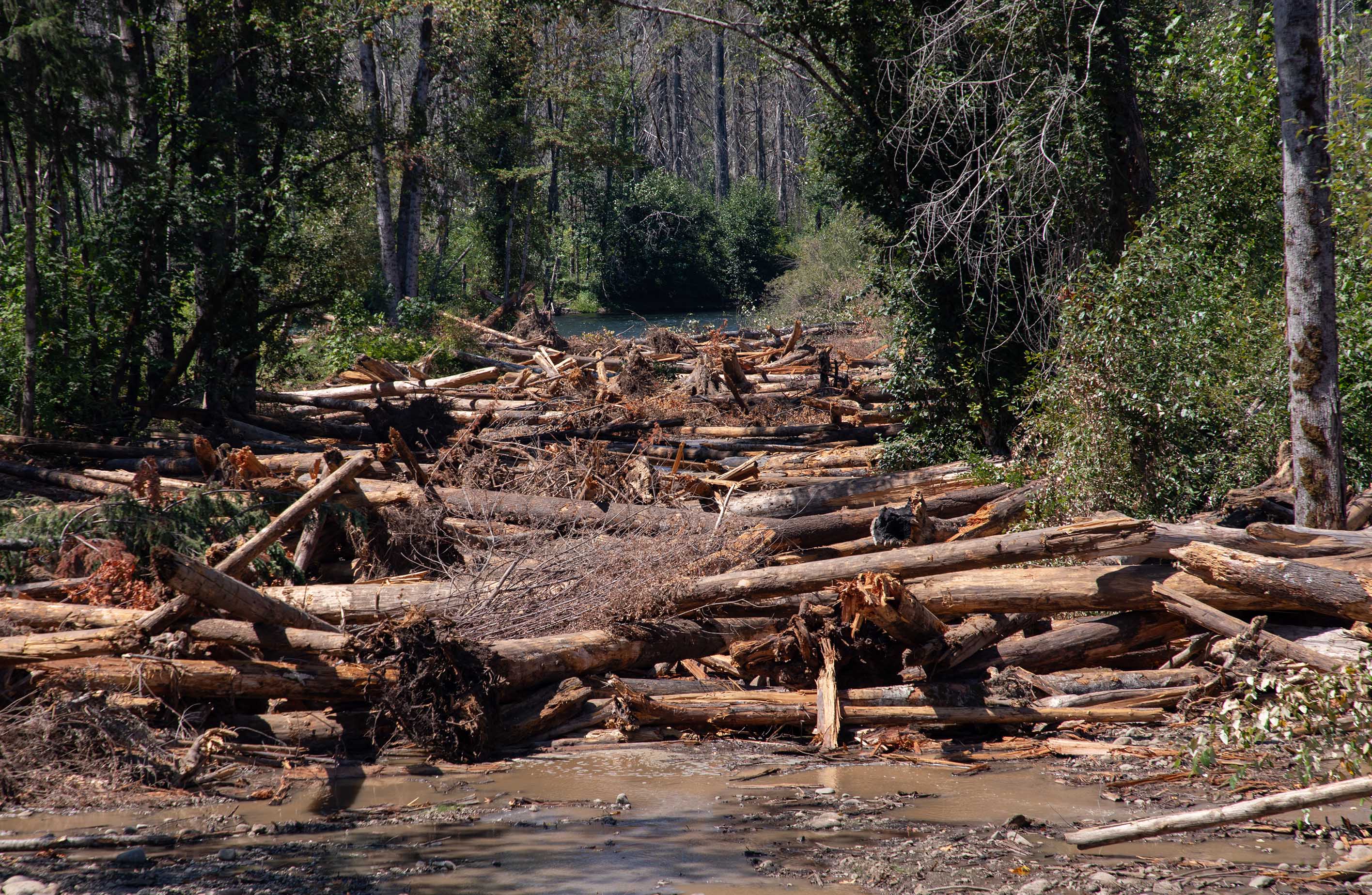 Logjams will contain sediment and debris in Quartz Creek so it doesn't enter the McKenzie River