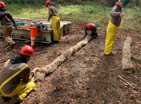 Northwest Youth Corp making wattles